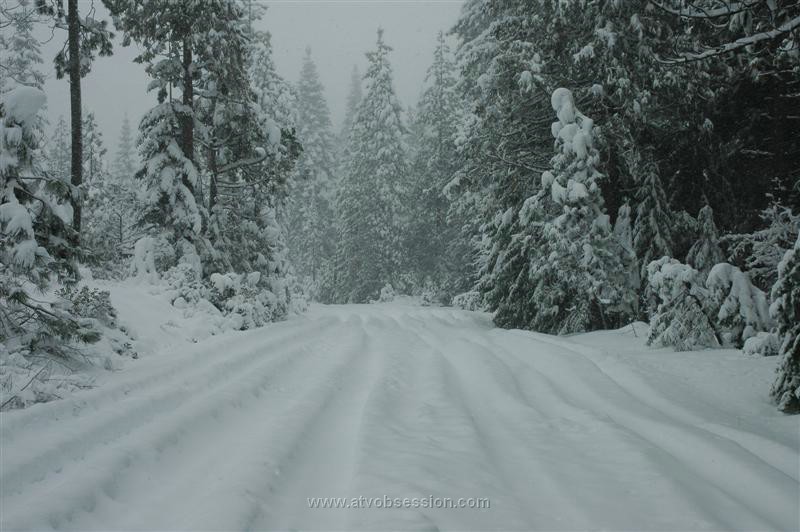 42. While Larry checks out the pretty road..jpg