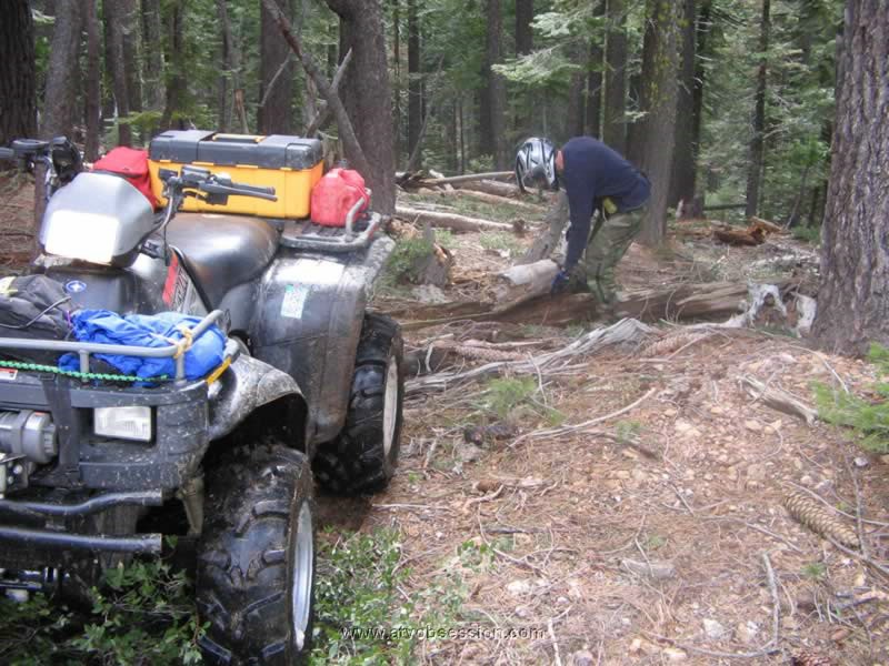 45. So I attach Terry's strap to a 'tree'..jpg