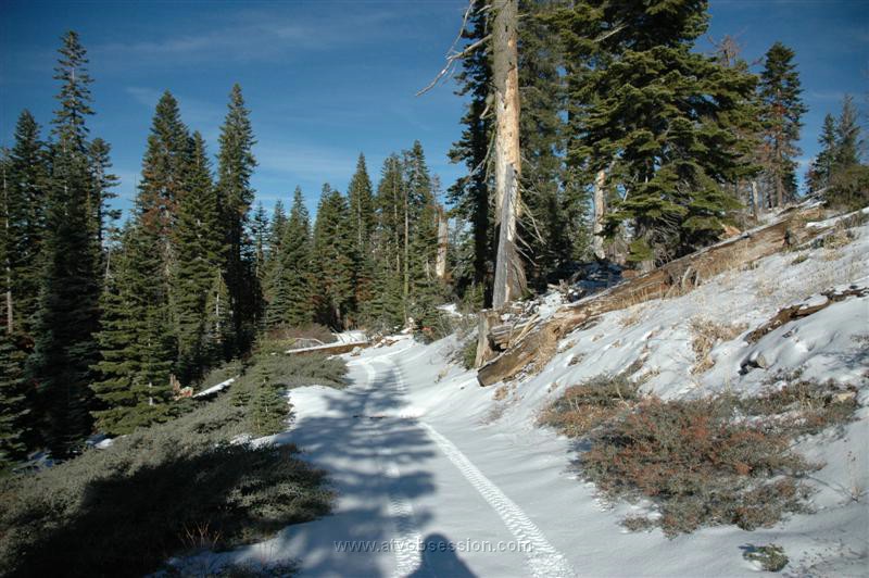 021. Larry blazes a small trail around it and waits..jpg