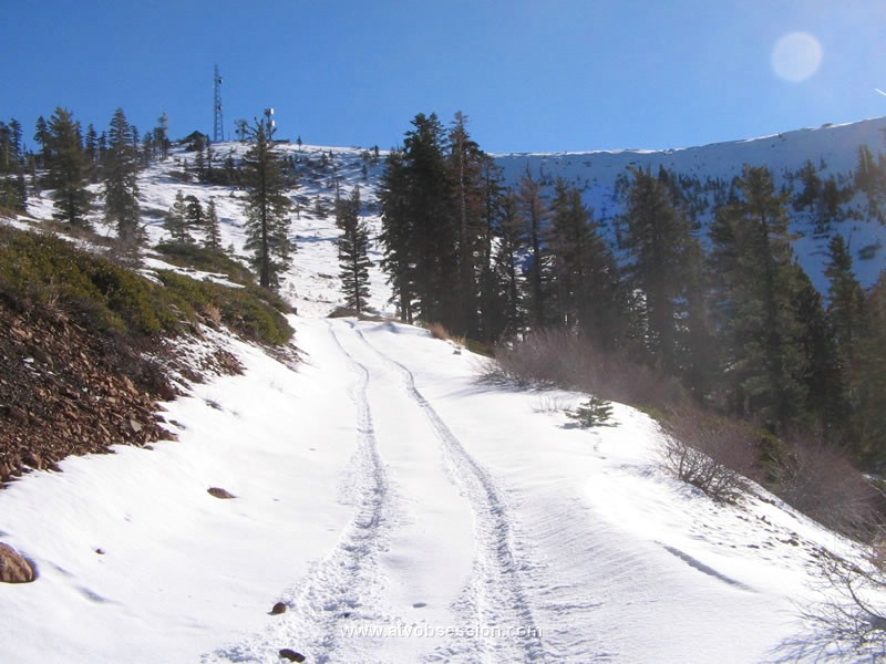 027. Larry takes off, leaving his tracks..jpg