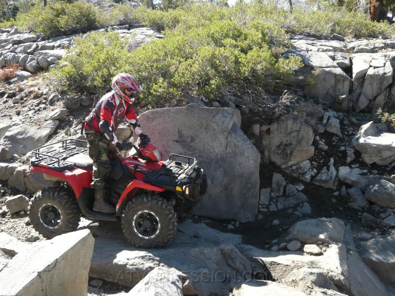 024. Line it up..jpg