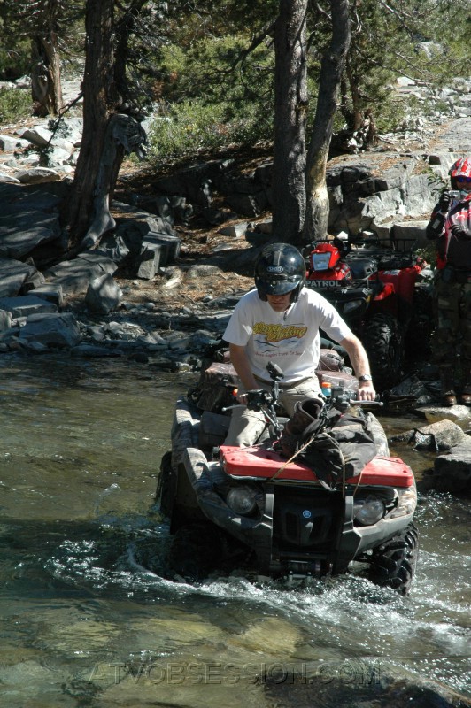 043. Larry shot from the front..jpg