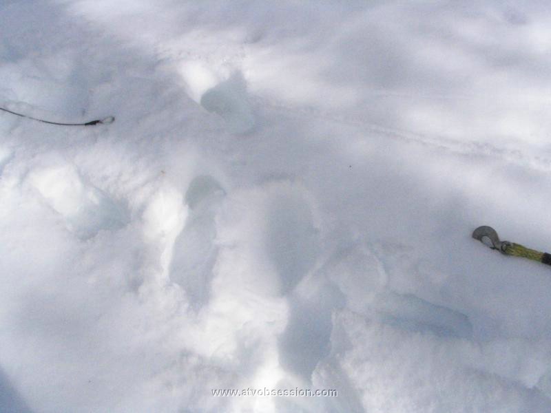 19. I come up 2 feet short...luckily, Jack has a few more wraps on the spool..jpg