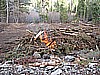 17. Riding back from Meadow Lake, some timber guys start this pile..jpg