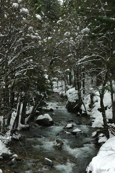 20. A quick look up the River..jpg