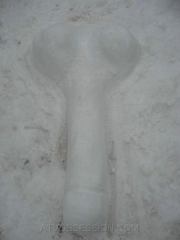 21. OMG...it's a....jpg