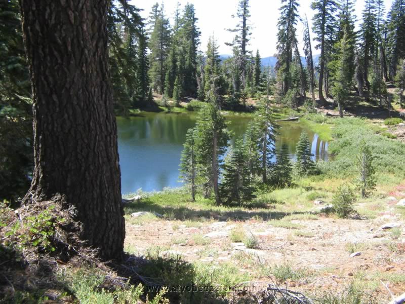 06. The pond just above Snake Lake..jpg