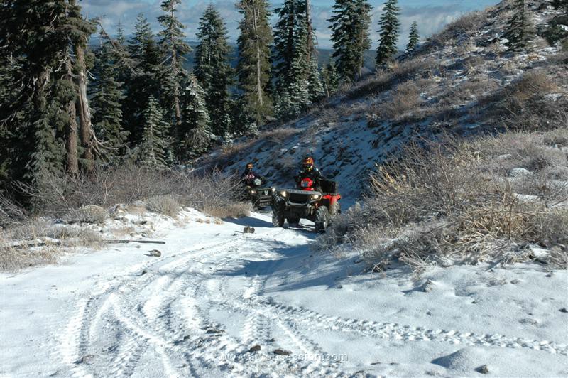 19. Crash races Teri as they reach the Top of Pilot Peak..jpg