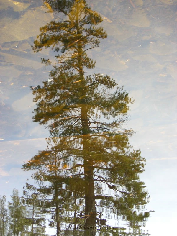 038. Artsy Joe takes this reflection photo..jpg