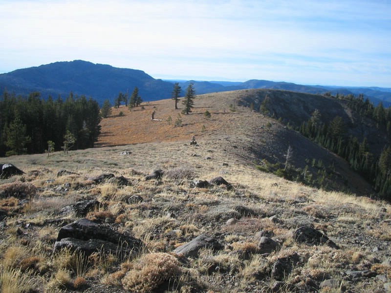 098. Learning how to stand...good boy..jpg