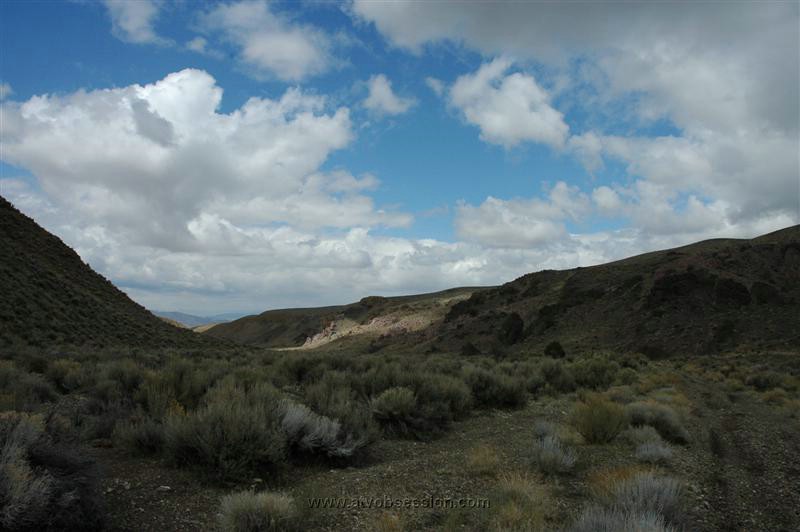 068. Very Different In The Daylight..jpg