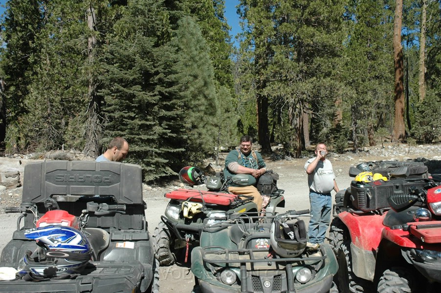 025. Ciesta, waiting for the rest..jpg