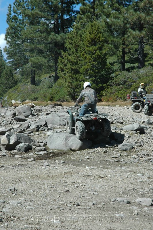 055. Lots more where those came from..jpg