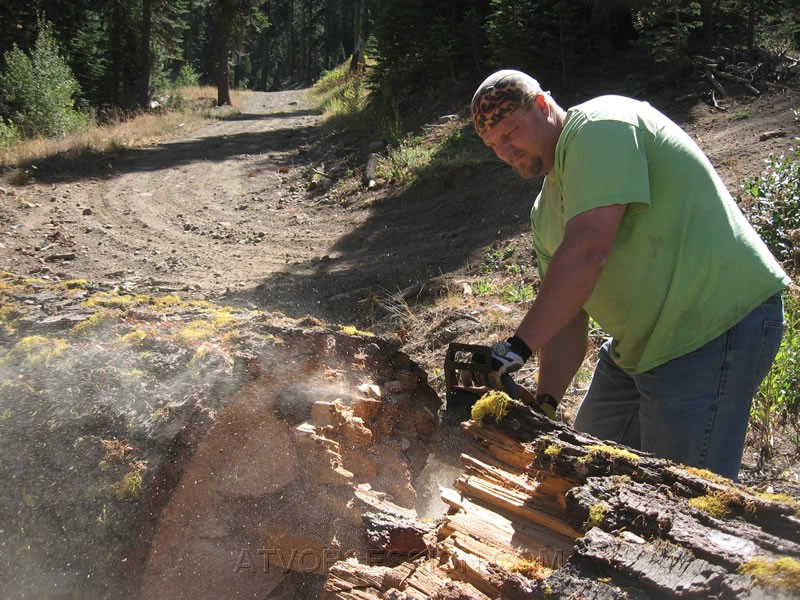 012. I'm a lumberjack and I'm OK!..jpg