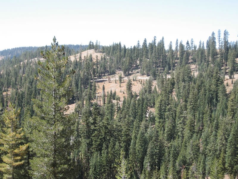 049. One of the gang far off in the distance..jpg