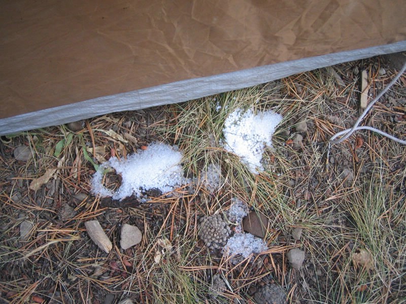 109. Tiny bit a snow stuck..jpg