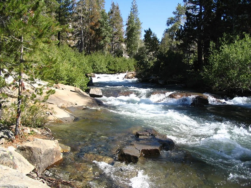 036. It's just jamming too fast..jpg