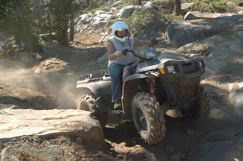 245. Big muscles..jpg