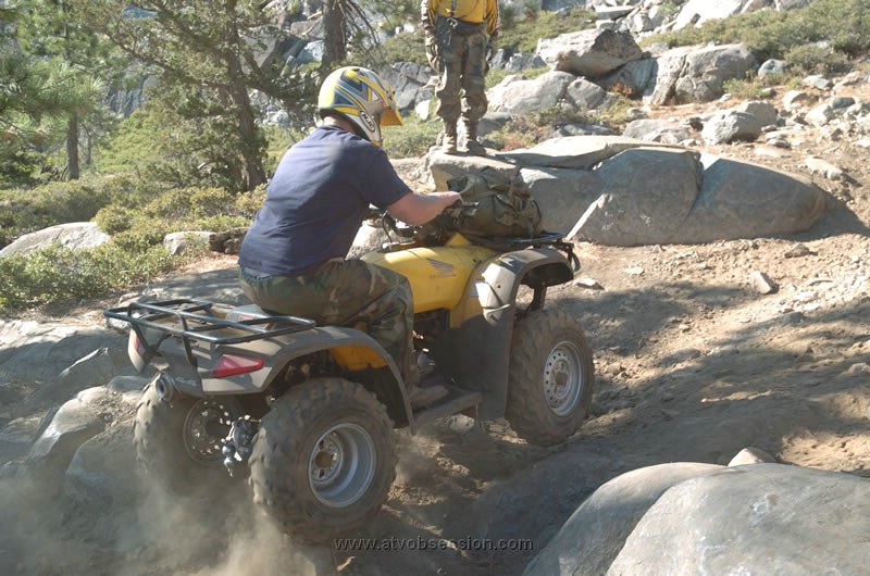 264. He's got it..jpg