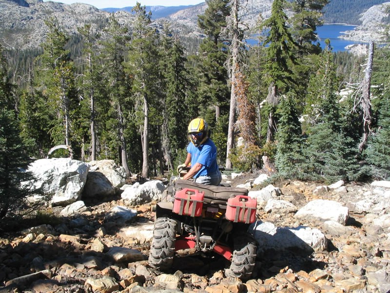 28. Here's the shot!.jpg