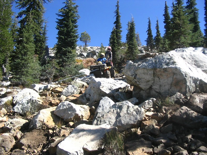 41. Bill doesn't seem to know either.....know what...jpg