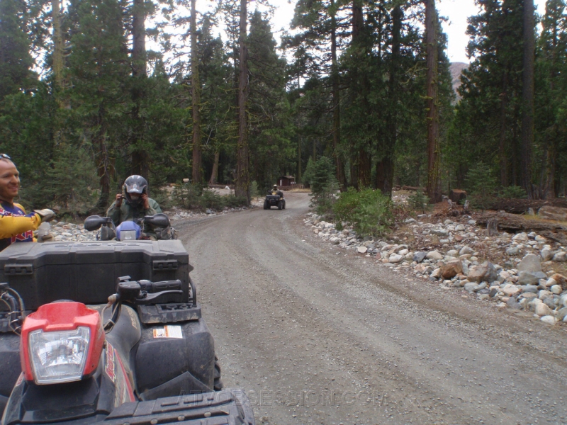 100. Here they come..jpg