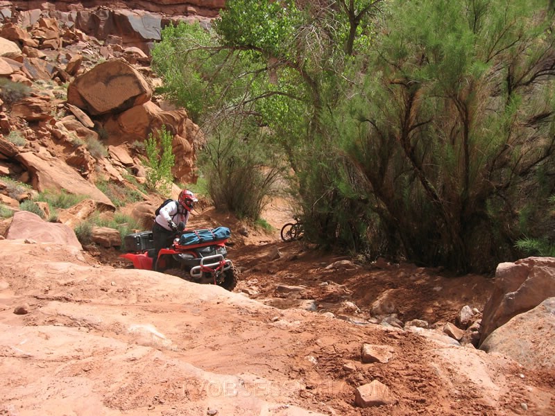 083. We cross a creek..the bicyclist in the photo fell in the mud when we came up..jpg