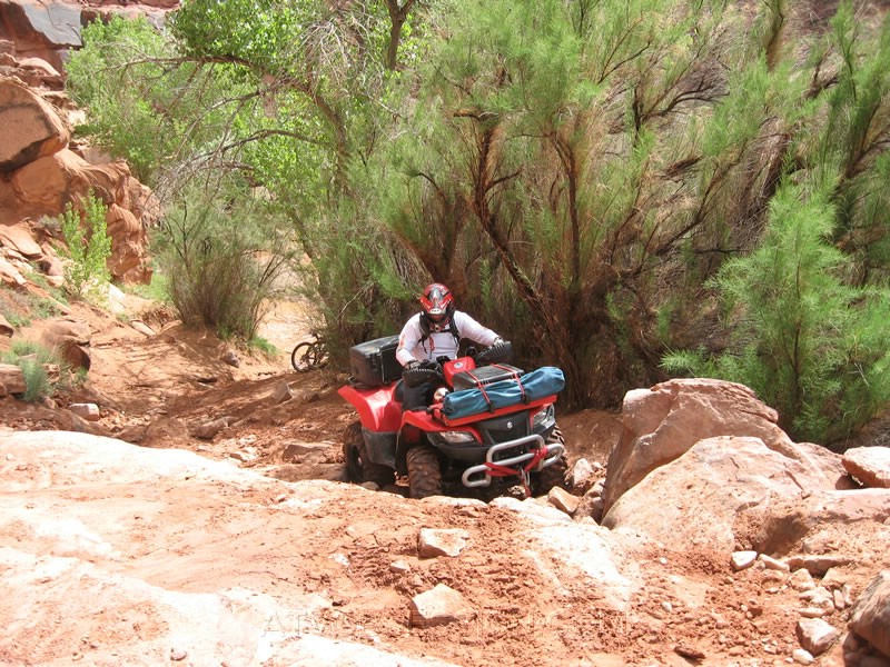 084. Larry's turn to gobble it up..jpg