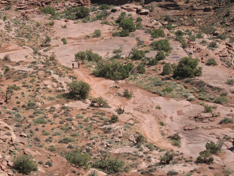 141. And shoots them riding up to us..jpg