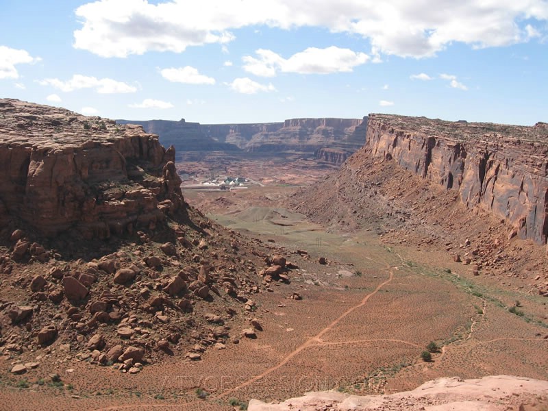 180. There's a huge plant in the background..jpg