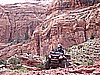 062. Dusty is back on the trail..jpg