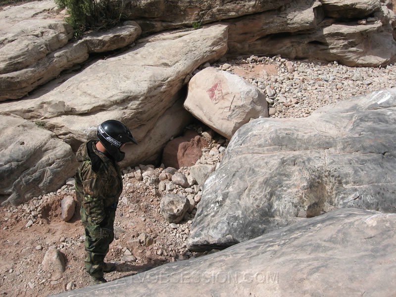 023. Jack studies the first obstacle for a line..jpg