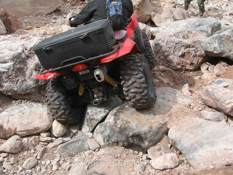 057. Lookin' good..jpg