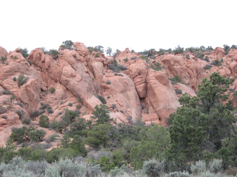 123. Oooh Pretty..jpg