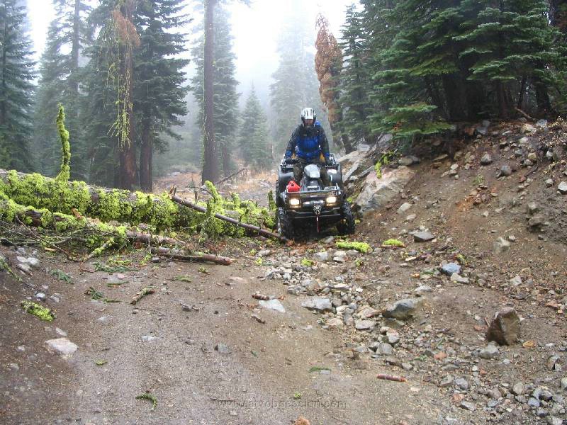 136. Terry goes over..jpg