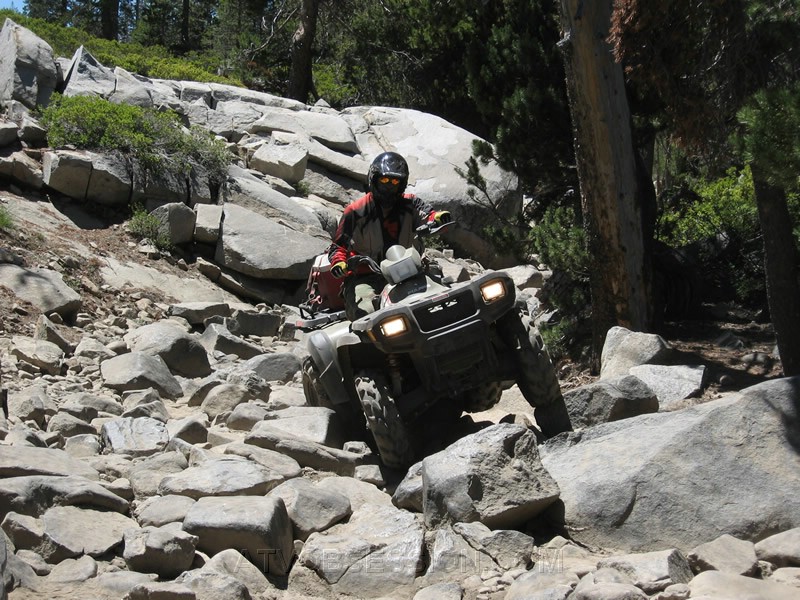 39. Lookin' good..jpg