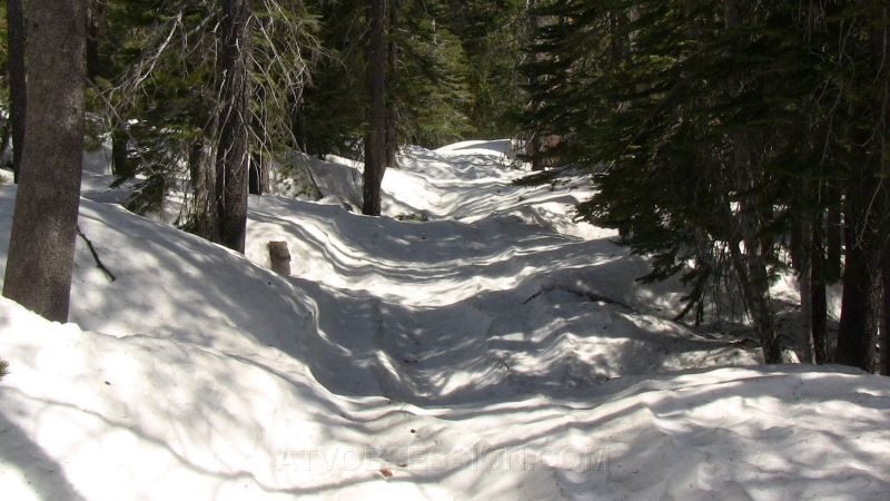 32. A road is there somewhere..jpg