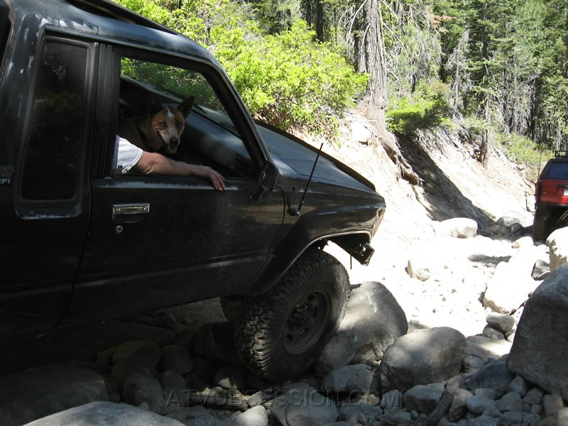 153. Here's the shot..jpg