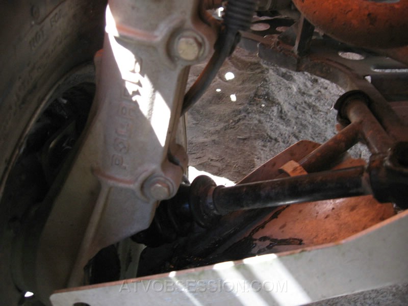 181. What was that about being part of growing up...jpg