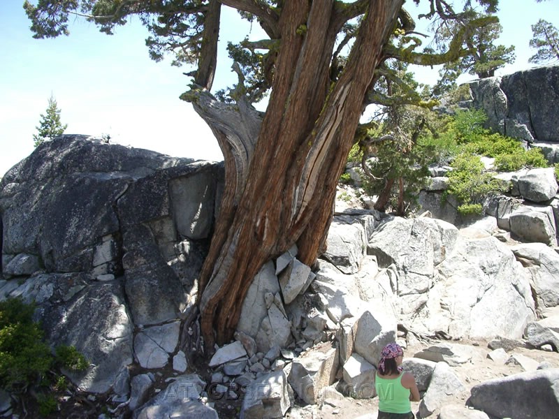 197. Lori at the Cypress..jpg