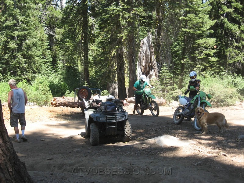 02. Bikes, Quads and Dogs...what else do you need..jpg