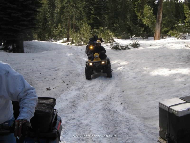 26. It's June 10 and it's surprisingly firm..jpg