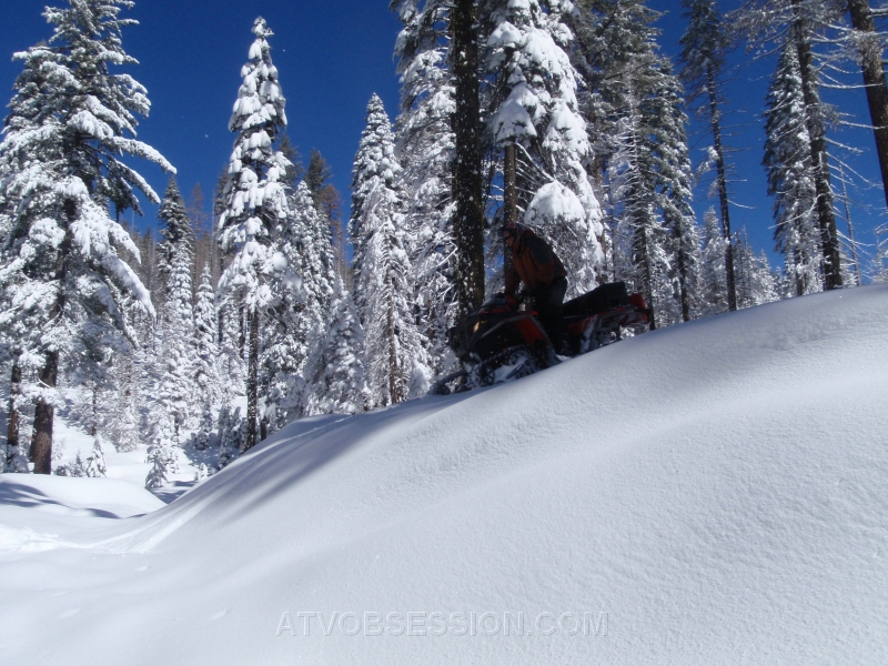 20. Rollercoaster..jpg