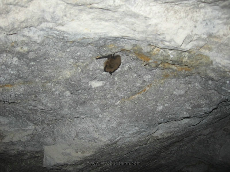 096. Another guy napping..jpg