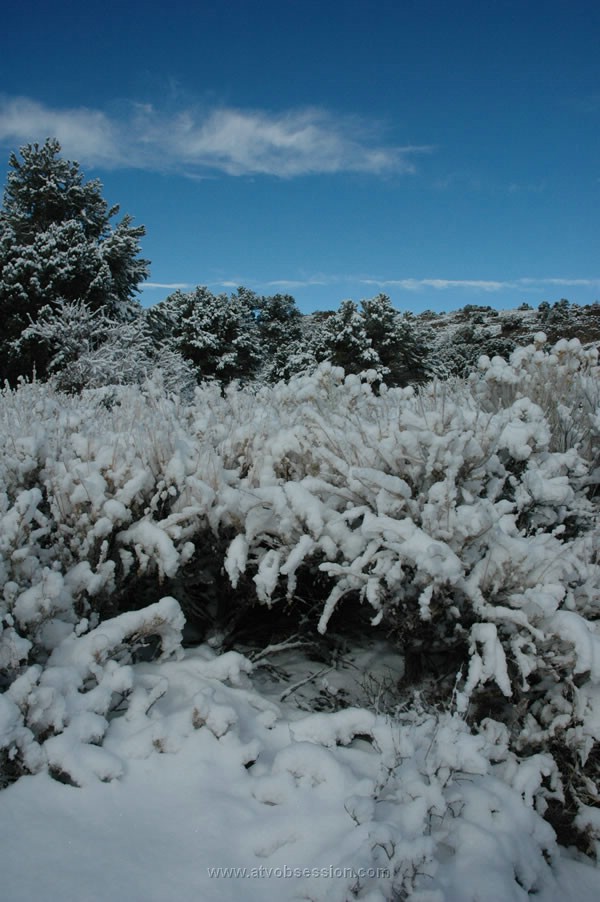 239. Frozen water..jpg