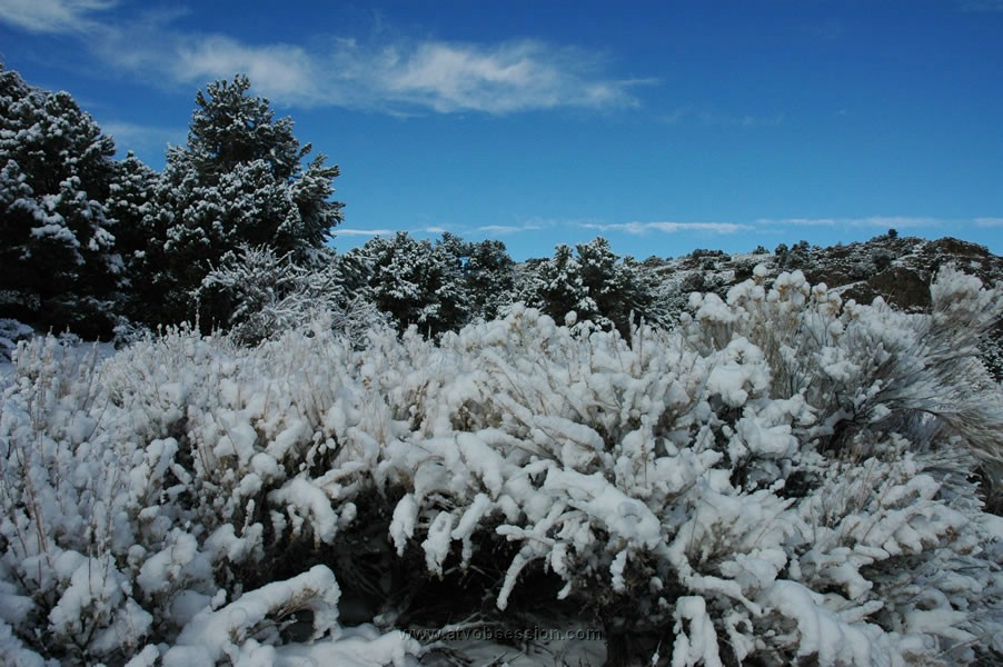 240. Great contrast between the white and blue..jpg