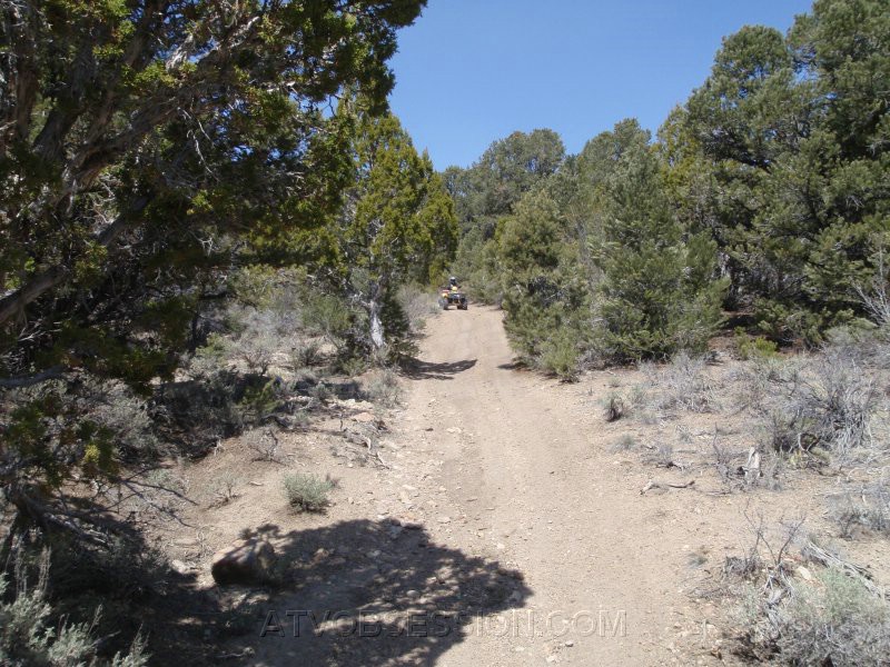 043. Weaving our way to Tybo..jpg