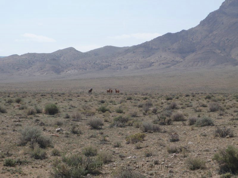 107. The stop to check us out..jpg