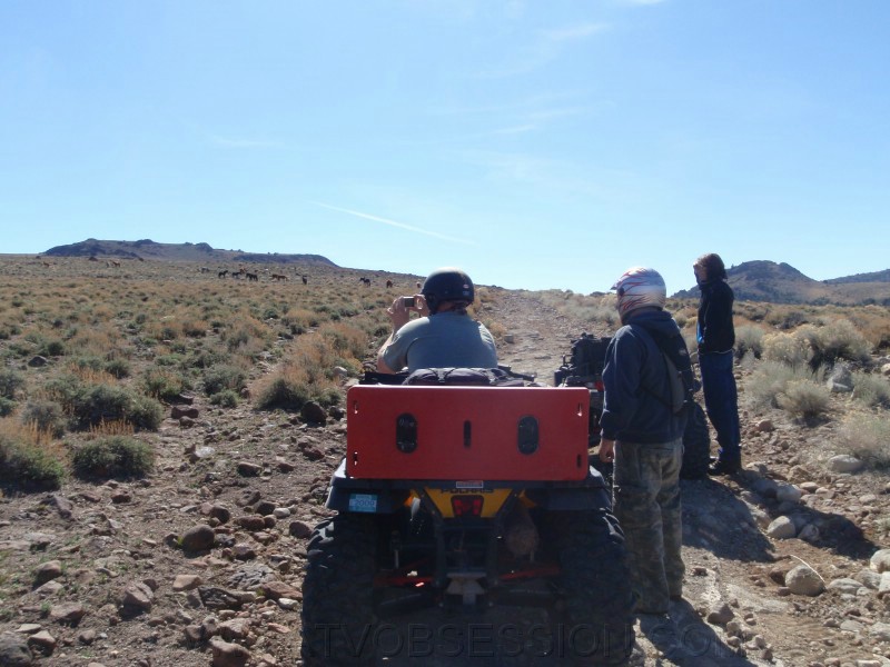 27. Kendo, Jeff and Scott watching the herd..jpg