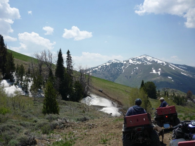 41.First hill....a little steep.jpg